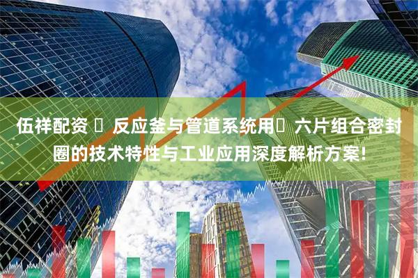 伍祥配资 ‌反应釜与管道系统用‌六片组合密封圈的技术特性与工业应用深度解析方案!