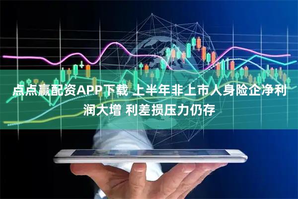 点点赢配资APP下载 上半年非上市人身险企净利润大增 利差损压力仍存